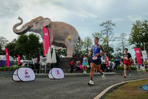 BIB: 
                            <button type="button" onclick="openModal(26528937)" class="btn btn-primary btn-sm float-right btn-popup" data-toggle="modal" data-target=".modal-high-quality">
                        <i class="fas fa-shopping-cart"></i> Add to Cart
                    </button>
                                            <button type="button" onclick="isThisMe(26528937, true)" class="btn btn-success btn-sm float-right btn-popup btn-isme hidden" data-toggle="tooltip" data-placement="bottom" title="นี่คือรูปของคุณใช่ไหม คลิกที่นี่เพื่อเอาเข้าอัลบั้ม">
                        <i class="fas fa-plus"></i> Add to album
                    </button>
                    <button type="button" onclick="isThisMe(26528937, false)" class="btn btn-warning btn-sm float-right btn-popup btn-isnotme hidden">
                        <i class="fas fa-ban"></i> Remove from album
                    </button>